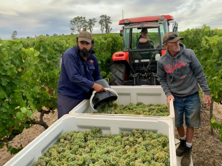 Harvest at Grosset