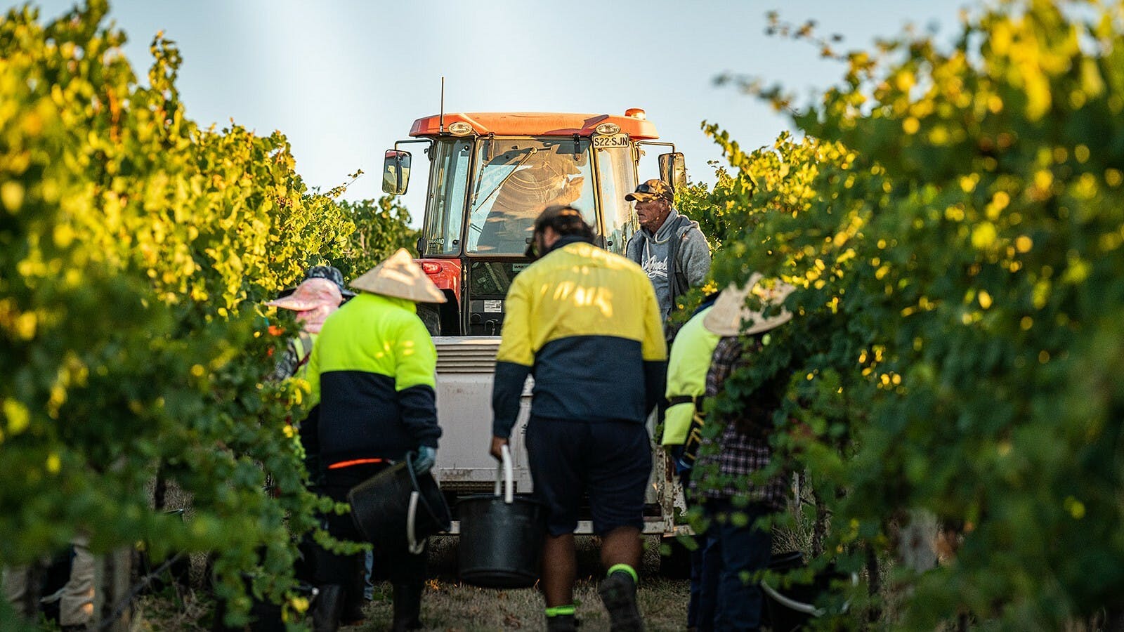 Harvest